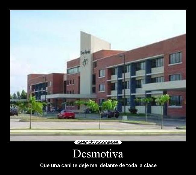 Desmotiva - Que una cani te deje mal delante de toda la clase