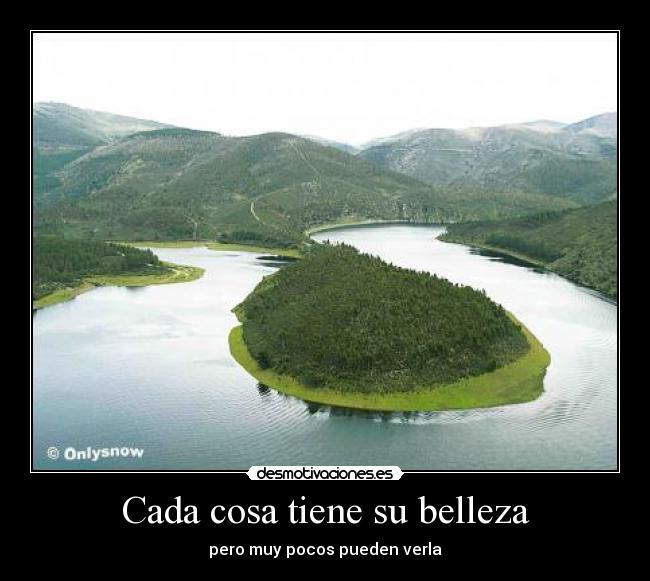 Cada cosa tiene su belleza - 