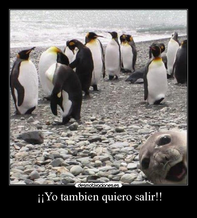 ¡¡Yo tambien quiero salir!! - 