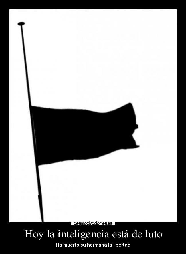 Hoy la inteligencia está de luto -