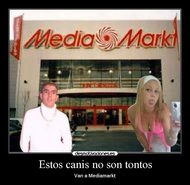 Estos canis no son tontos - 