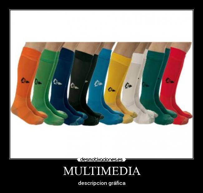 MULTIMEDIA - descripcion gráfica