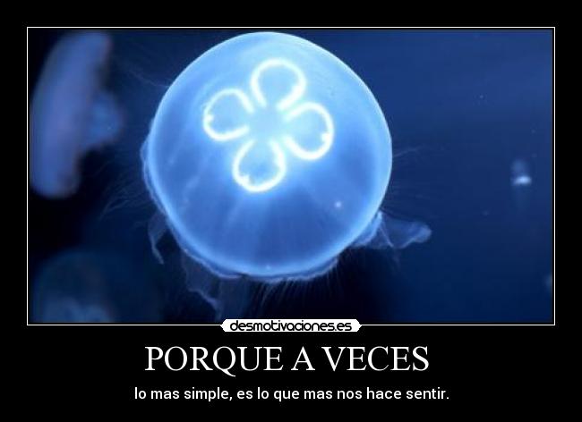PORQUE A VECES  - 