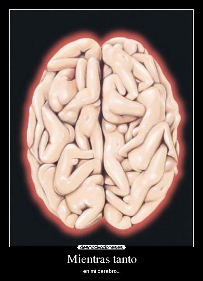 Mientras tanto - en mi cerebro...