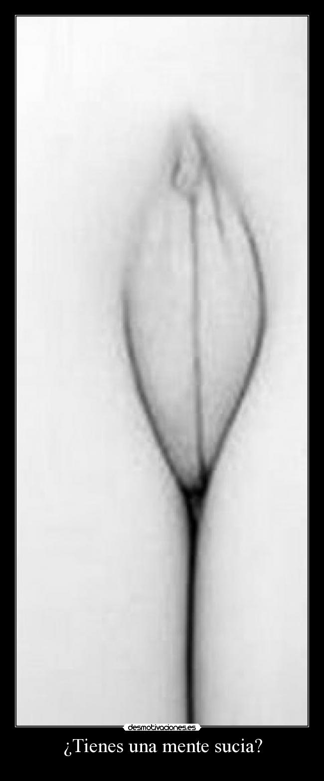 ¿Tienes una mente sucia? -