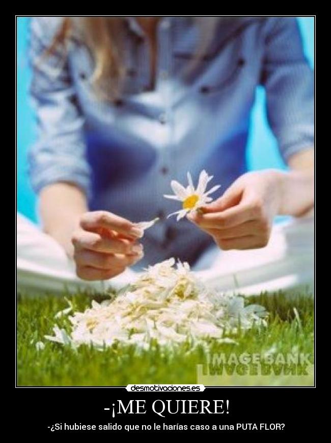 -¡ME QUIERE! -