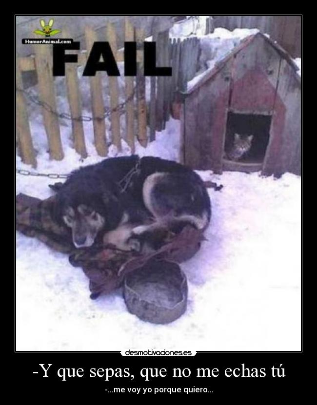 carteles pipas desmotivaciones