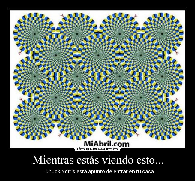 Mientras estás viendo esto... - 