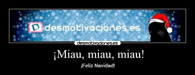 ¡Miau, miau, miau! -