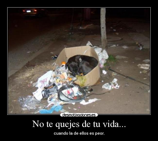 No te quejes de tu vida... - 