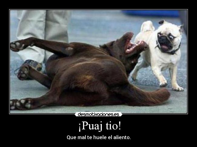 ¡Puaj tio! - 