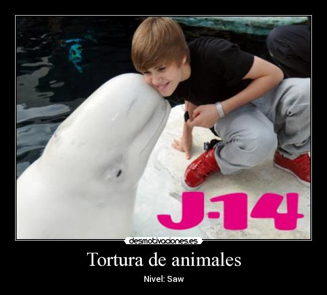 Tortura de animales - Nivel: Saw