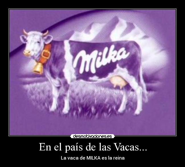 En el país de las Vacas... - La vaca de MILKA es la reina