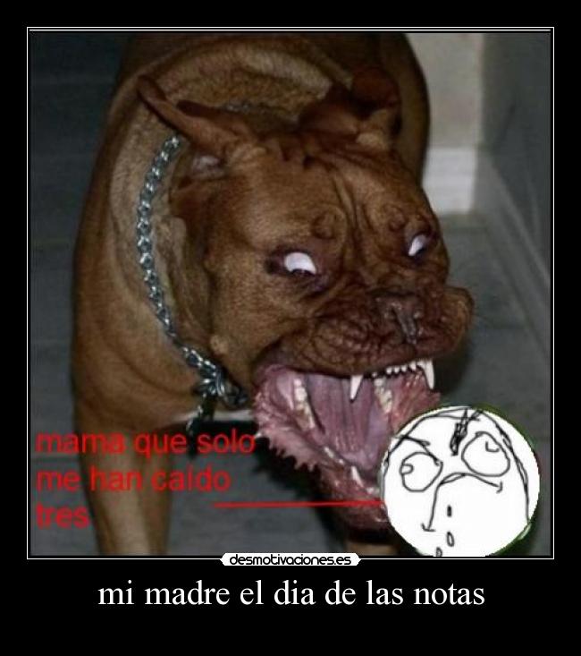 carteles madre madres desmotivaciones