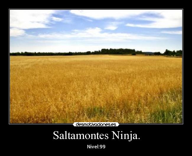 Saltamontes Ninja. - 
