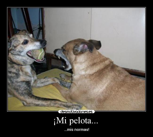 ¡Mi pelota...  - ...mis normas!