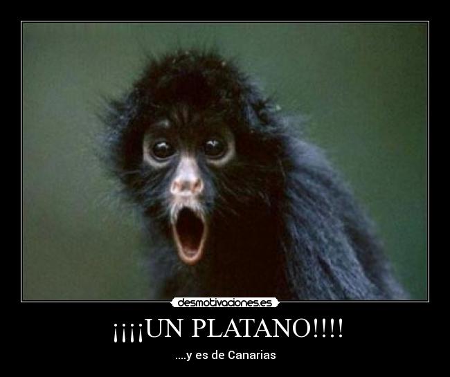 ¡¡¡¡UN PLATANO!!!! - 