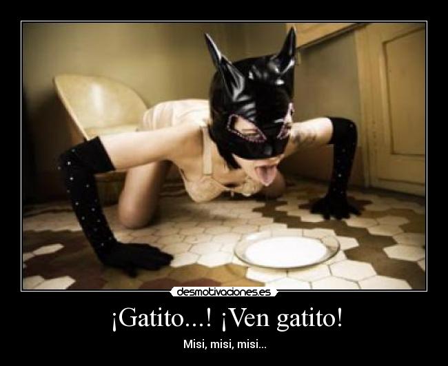 ¡Gatito...! ¡Ven gatito! - 