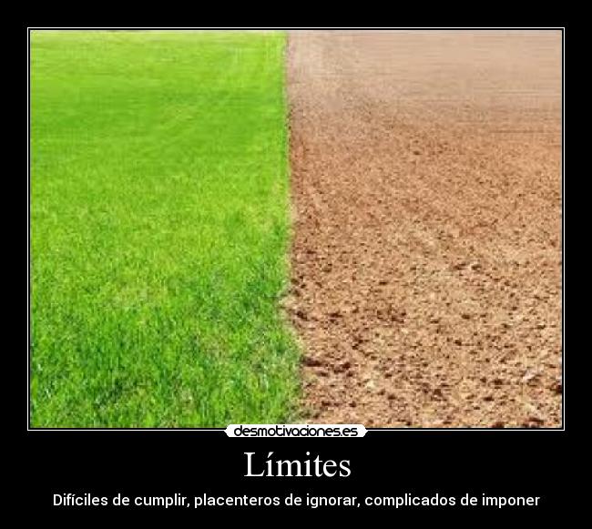 carteles limites desmotivaciones