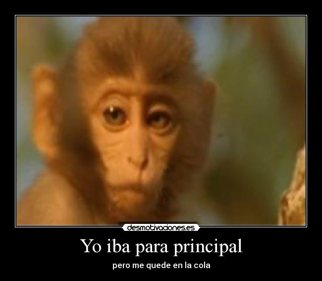 Yo iba para principal - pero me quede en la cola