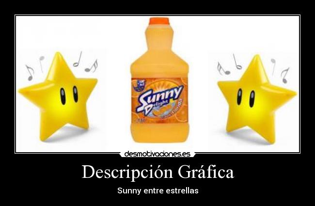 Descripción Gráfica -