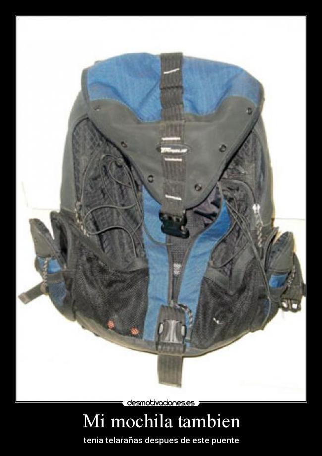 Mi mochila tambien - tenia telarañas despues de este puente