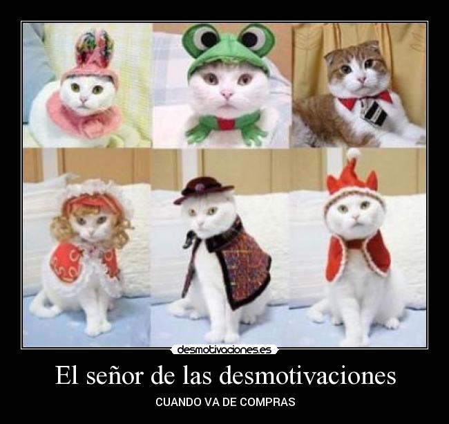 El señor de las desmotivaciones -