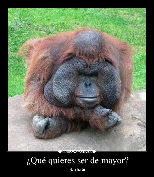 ¿Qué quieres ser de mayor? -