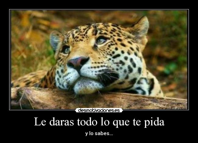 Le daras todo lo que te pida -