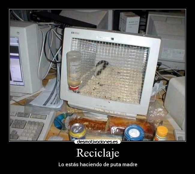 Reciclaje - 