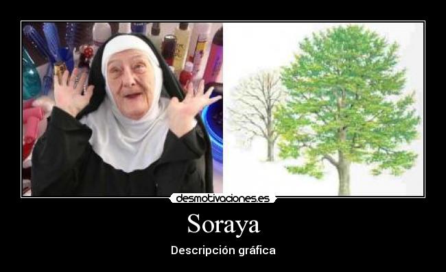 Soraya - Descripción gráfica