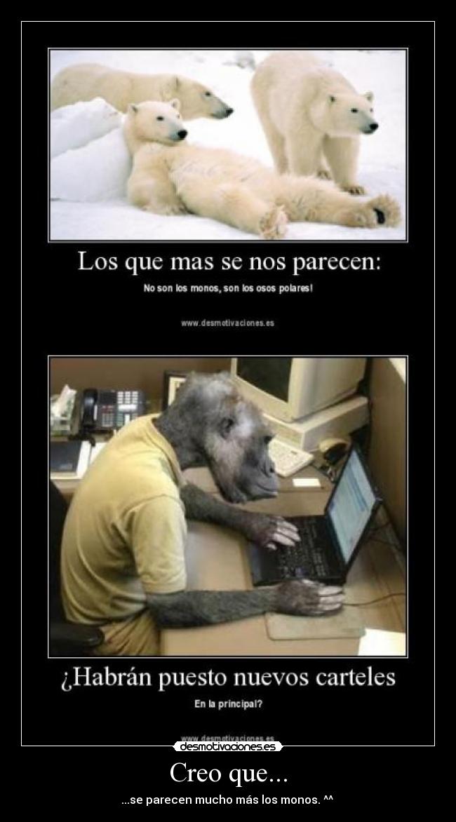 Creo que... - ...se parecen mucho más los monos. ^^