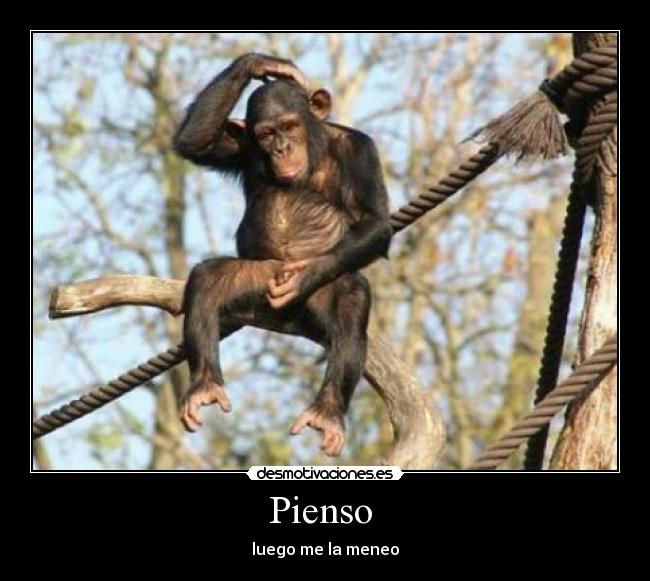 Pienso - luego me la meneo