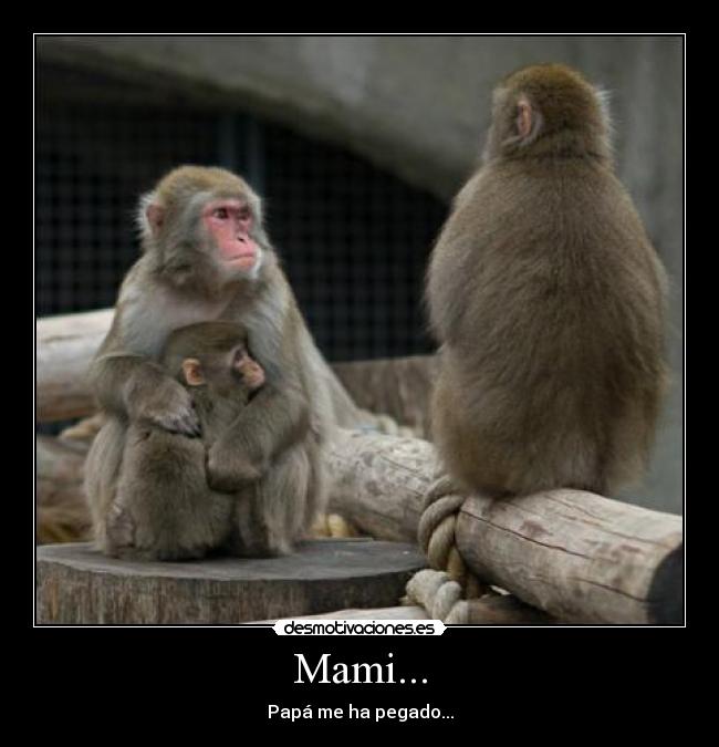Mami... -