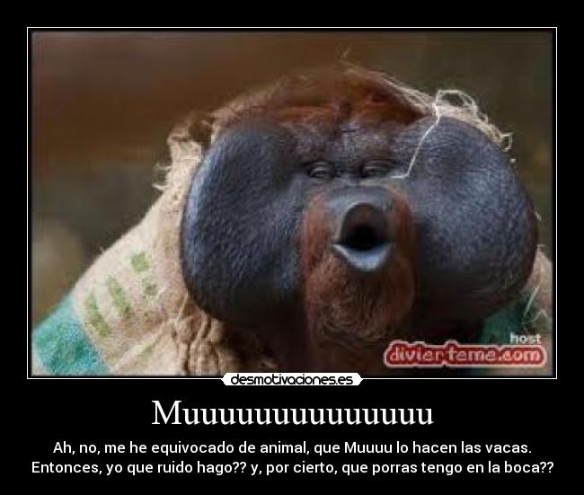 Muuuuuuuuuuuuuu - Ah, no, me he equivocado de animal, que Muuuu lo hacen las vacas.
Entonces, yo que ruido hago?? y, por cierto, que porras tengo en la boca??