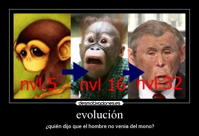 evolución - ¿quién dijo que el hombre no venia del mono?