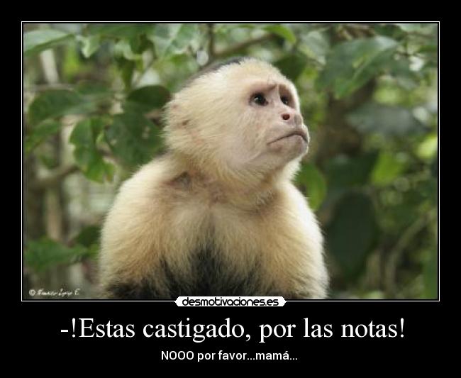-!Estas castigado, por las notas! -