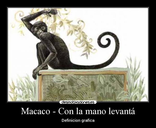 Macaco - Con la mano levantá - 