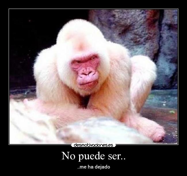 No puede ser.. - ..me ha dejado