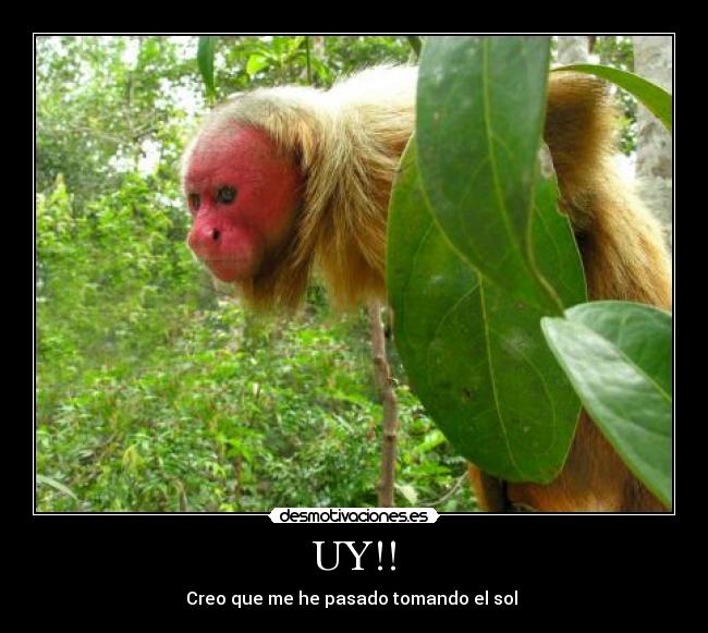 UY!! - Creo que me he pasado tomando el sol