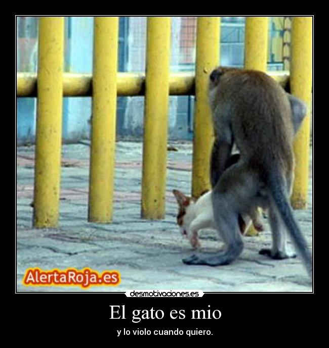 carteles  desmotivaciones