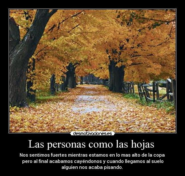 Las personas como las hojas -