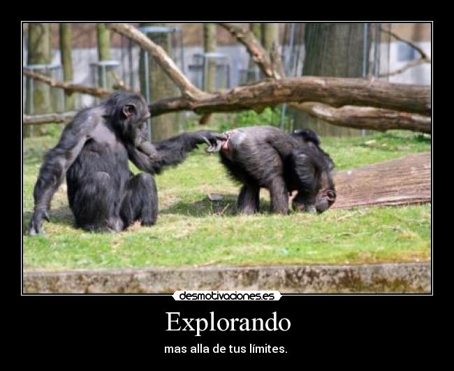 Explorando - 
