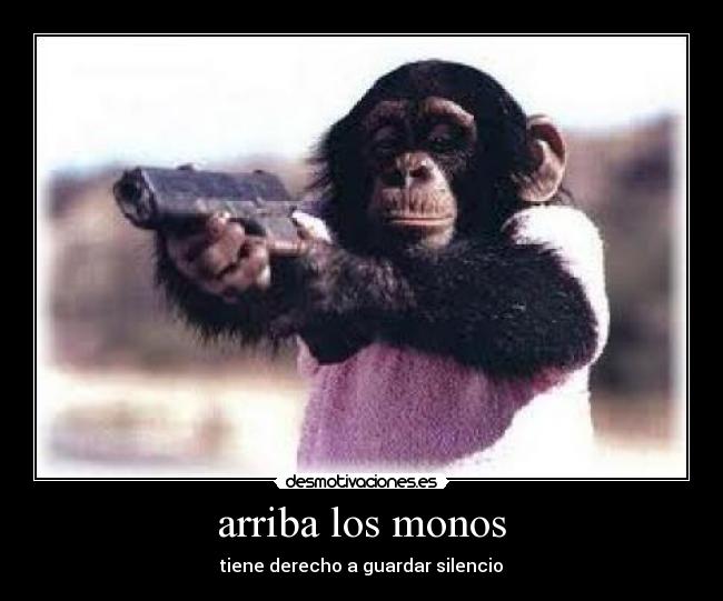 carteles lin desmotivaciones