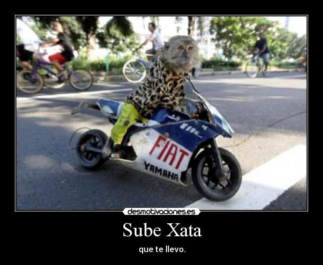 Sube Xata - que te llevo.