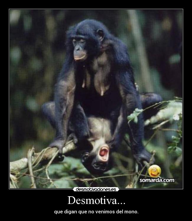 Desmotiva... - que digan que no venimos del mono.