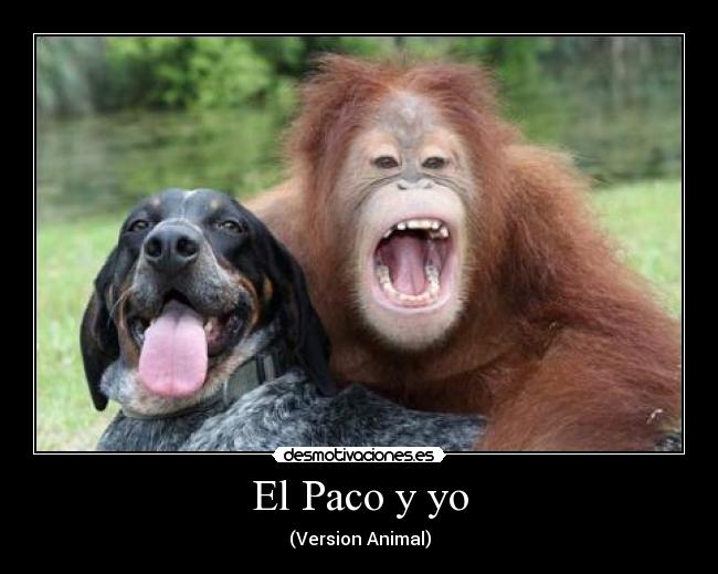 El Paco y yo - (Version Animal)