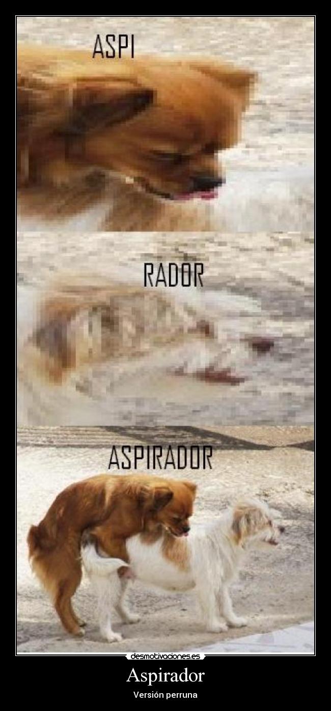 carteles jotajotamv desmotivaciones