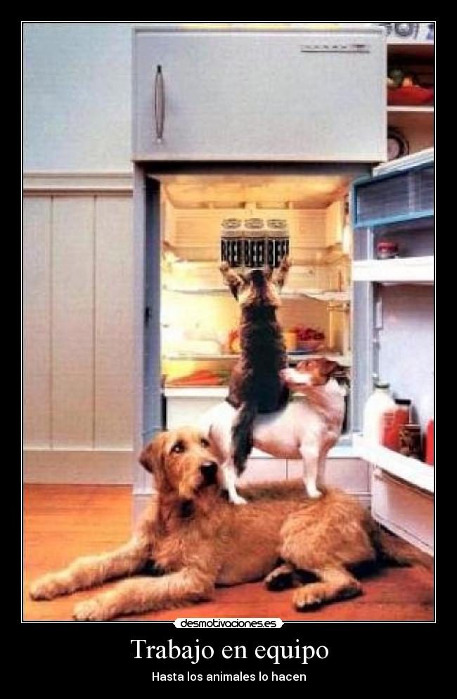 Trabajo en equipo - Hasta los animales lo hacen