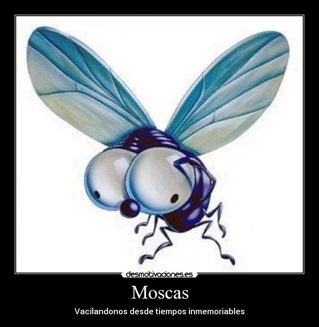 Moscas - Vacilandonos desde tiempos inmemoriables